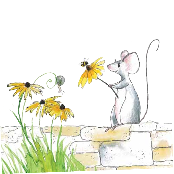 Farbenspiele | Anna Kautsch Kinderbuch