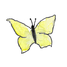 Schmetterling Farbenspiele | Anna Kautsch
