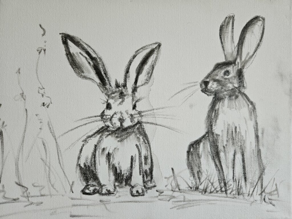 Farbenspiele | Anna Kautsch